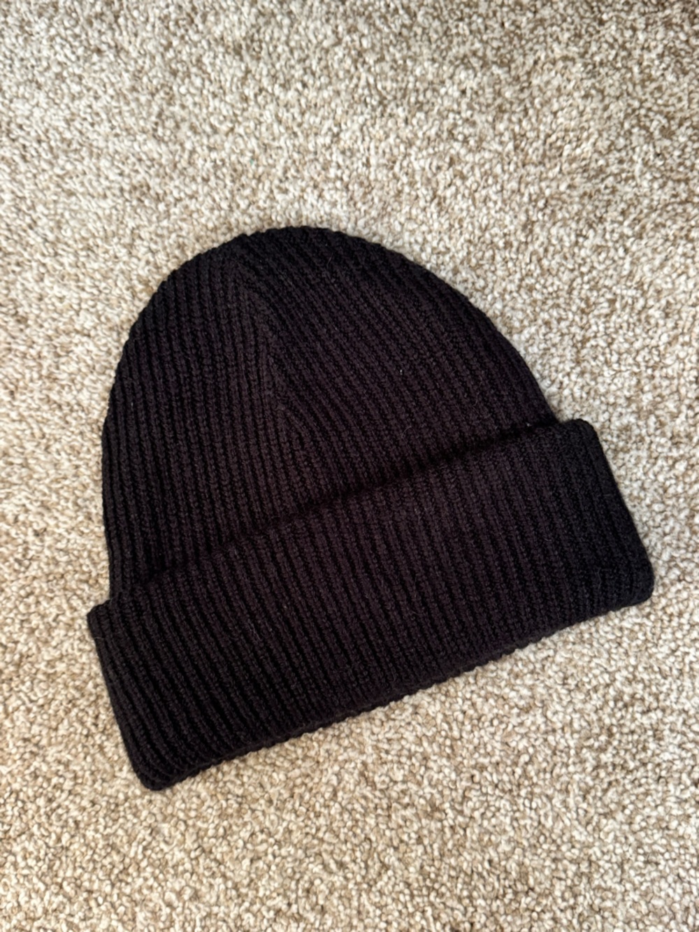 Aritzia Beanie